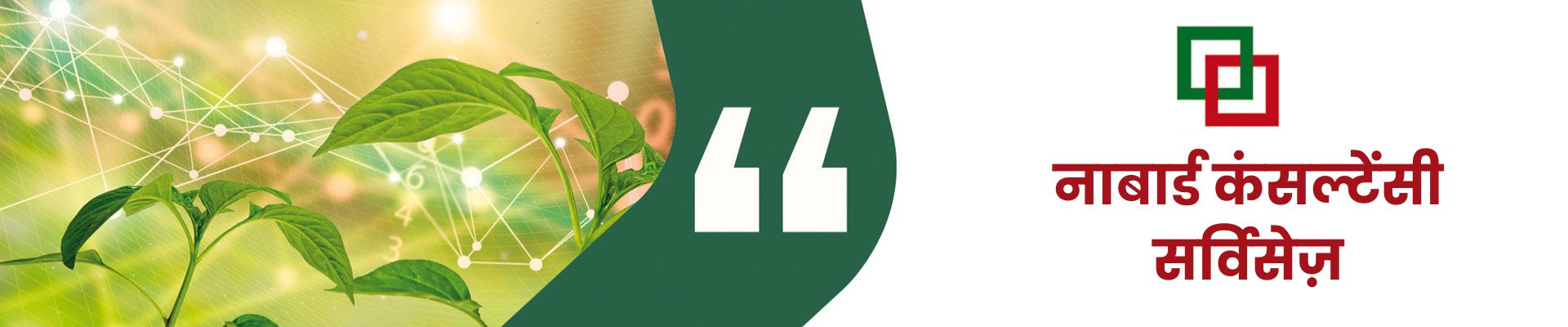  NABARD CONSULTANCY SERVICES 