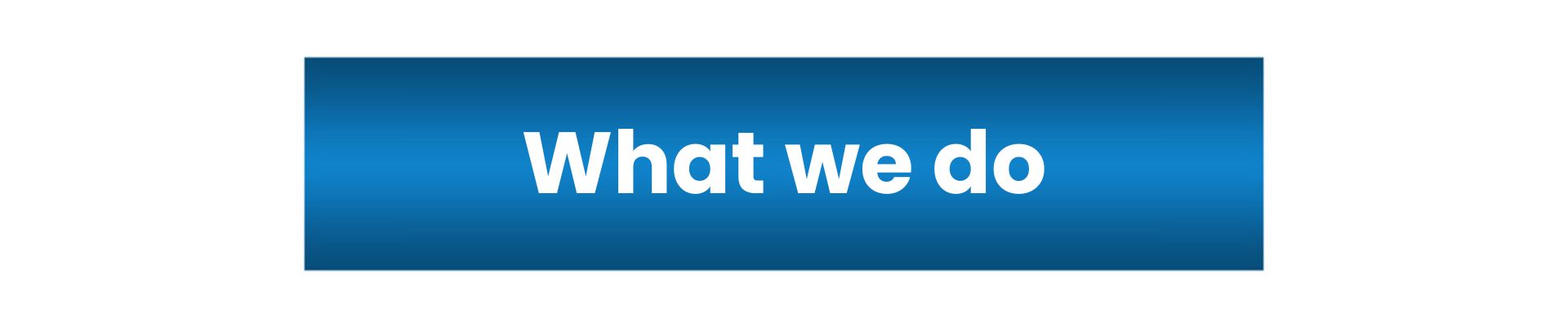 what-we-do