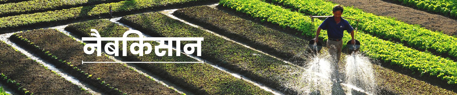  NABKISAN FINANCE LIMITED 