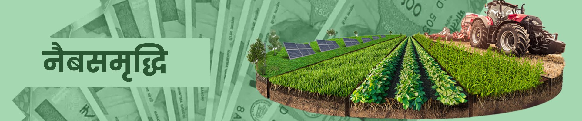  NABSAMRUDDHI FINANCE LIMITED 