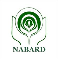 Image result for nabard logo