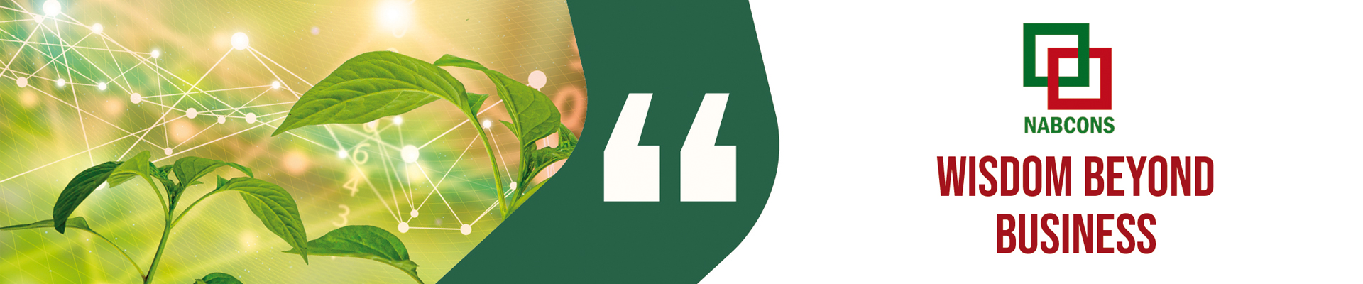 NABARD CONSULTANCY SERVICES